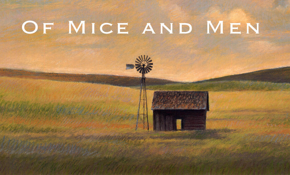 Day 3 – The best laid plans of mice and men…